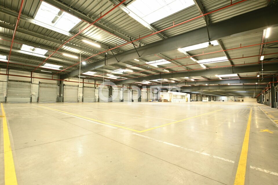 ORPI MYRIAD CONSEIL LOCATION-ENTREPOT-MIONS-69