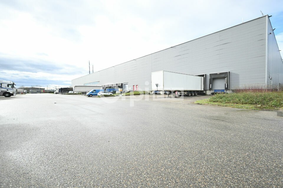 ORPI MYRIAD CONSEIL LOCATION-ENTREPOT-MIONS-69