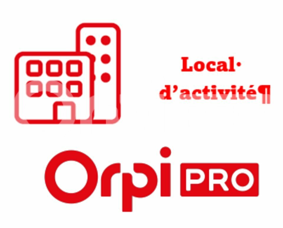 ORPI BISCARROSSE IMMOBILIER LOCATION-LOCAL D'ACTIVITE-SANGUINET-40
