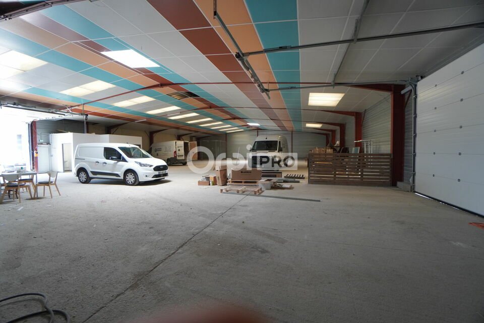 DORIS METZGER IMMOBILIER LOCATION-LOCAL D'ACTIVITE-SAINT_APOLLINAIRE-21