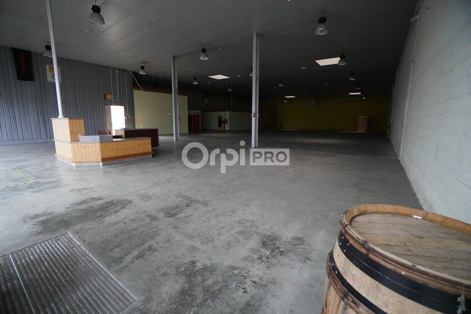 DORIS METZGER IMMOBILIER LOCATION-LOCAL D'ACTIVITE-CHENOVE-21