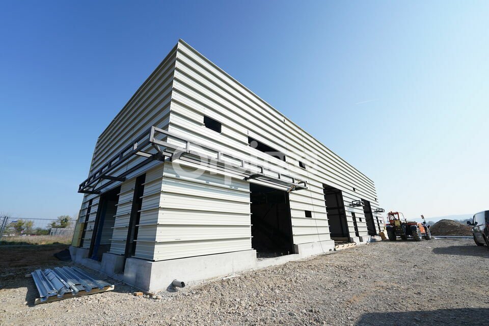 ORPI MYRIAD CONSEIL LOCATION-LOCAL D'ACTIVITE-TIGNIEU-JAMEYZIEU-38