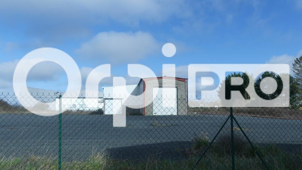 ORPI IMMOBILIER DU REMPART VENTE-LOCAL D'ACTIVITE-VATAN-36