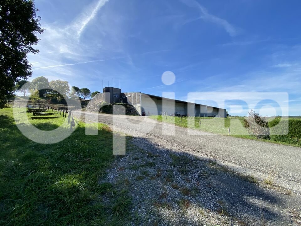 ORPI ATOUT MONTAUBAN VENTE-LOCAL D'ACTIVITE-REALVILLE-82