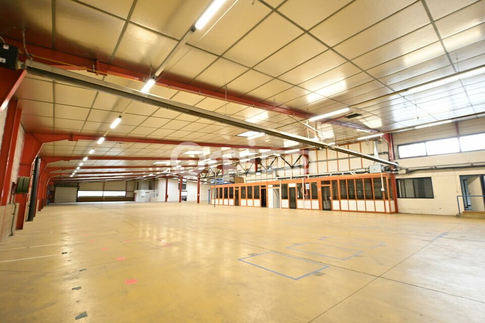 ORPI MYRIAD CONSEIL LOCATION-LOCAL D'ACTIVITE-RILLIEUX_LA_PAPE-69