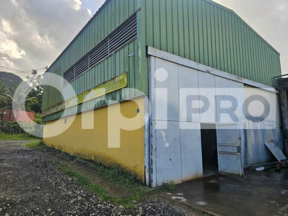 ORPI AGIM IMMOBILIER LOCATION-ENTREPOT-BAIE_MAHAULT-97