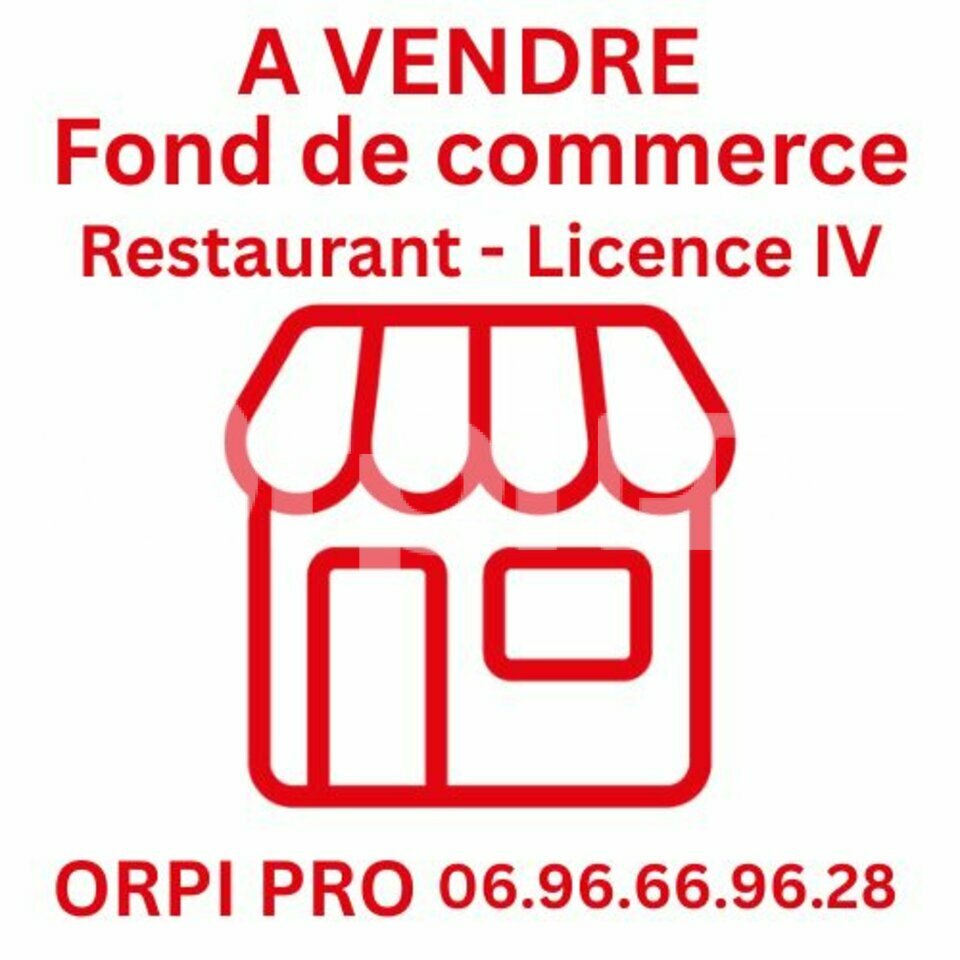 ORPI ARCHIPEL IMMOBILIER VENTE-FONDS DE COMMERCE-RIVIERE_SALEE-97
