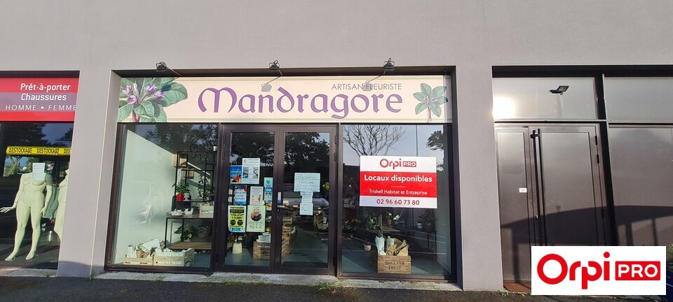 ORPI TRISKELL HABITAT ET ENTREPRISE LOCATION-LOCAL COMMERCIAL-SAINT-ALBAN-22