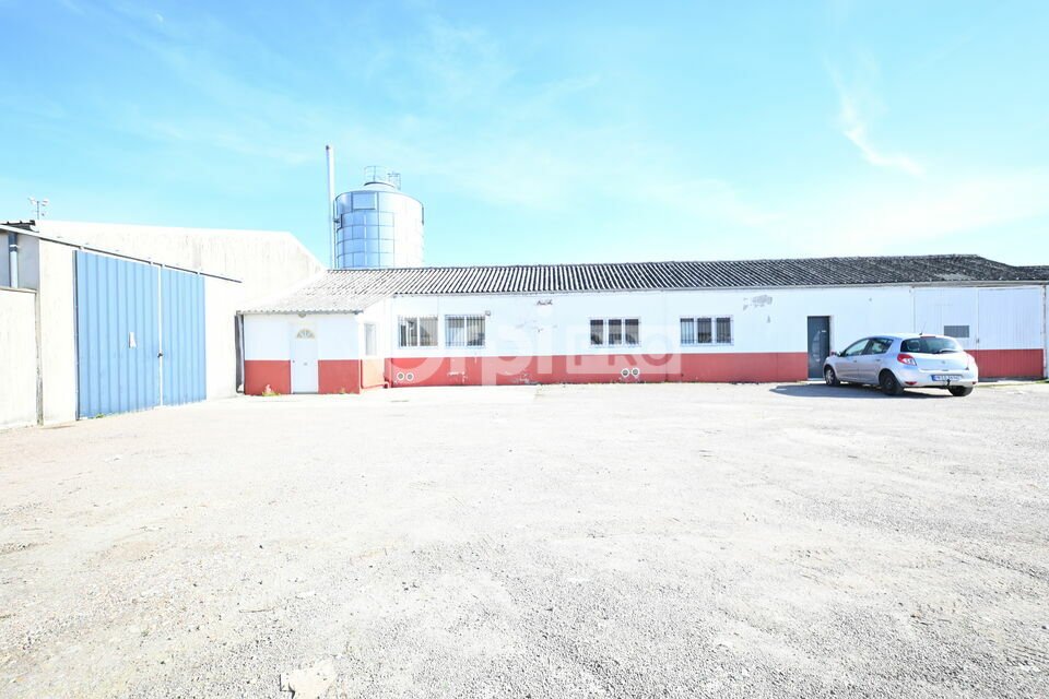 ORPI MYRIAD CONSEIL LOCATION-LOCAL D'ACTIVITE-CRISSEY-71