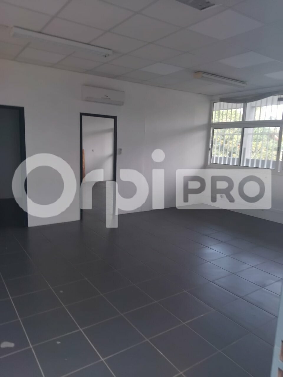 ORPI GCI LOCATION-BUREAUX-CAYENNE-97