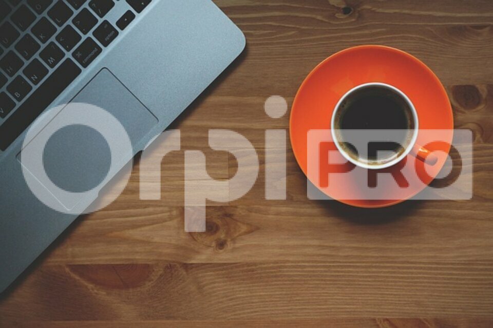 ORPI SAS DIRECT HABITAT VENTE-BUREAUX-LIMAS-69