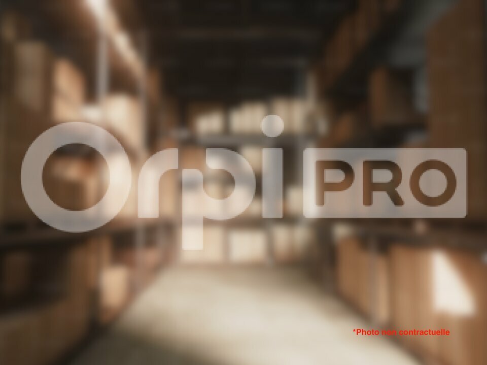 ORPI TYROSSE IMMOBILIER PRO-PCI LOCATION-ENTREPOT-SEIGNOSSE-40