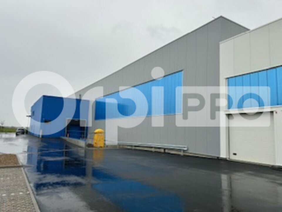 ORPI SAS DIRECT HABITAT LOCATION-LOCAL D'ACTIVITE-FAREINS-01