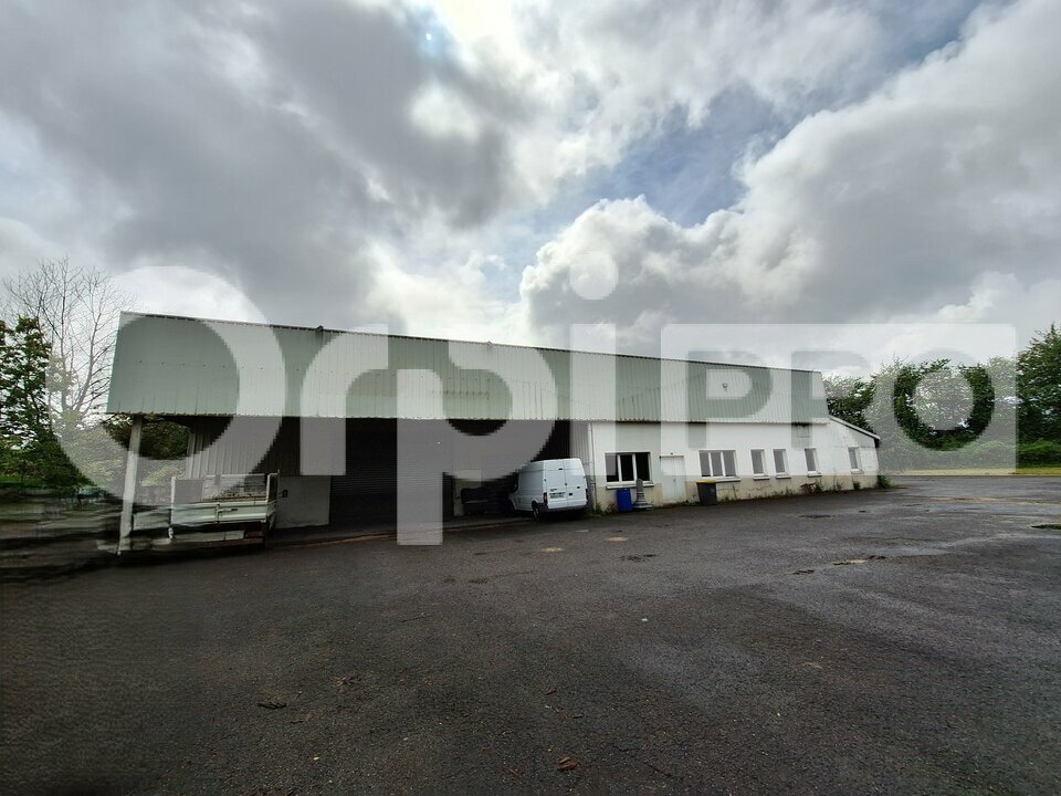 ORPI NA AND CO IMMOBILIER LOCATION-LOCAL D'ACTIVITE-VILLERS_COTTERETS-02