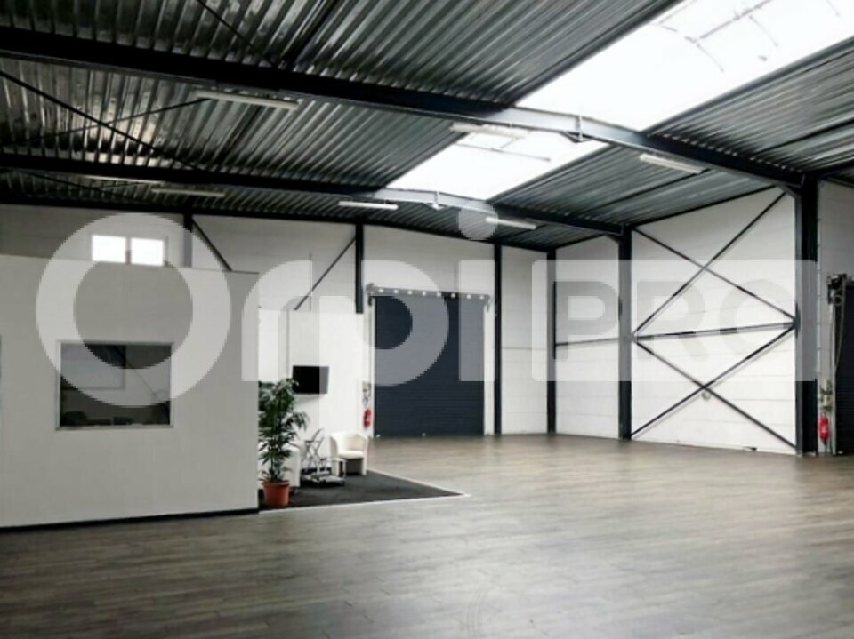ORPI PLI ARRAS LOCATION-ENTREPOT-RONCQ-59