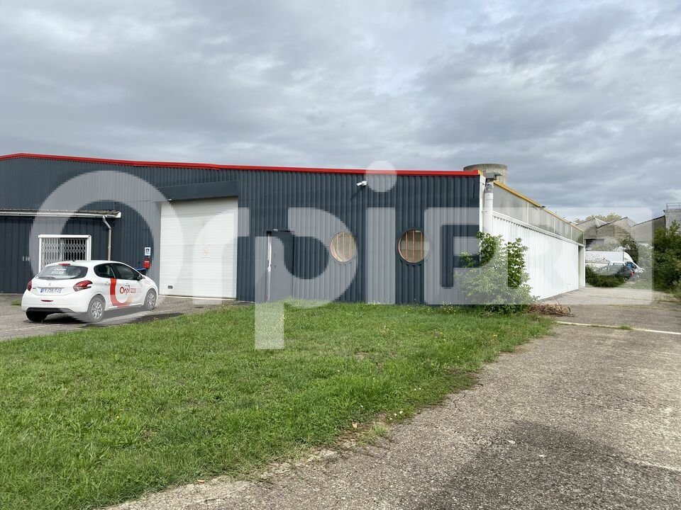 ORPI ATOUT MONTAUBAN LOCATION-LOCAL D'ACTIVITE-MONTAUBAN-82