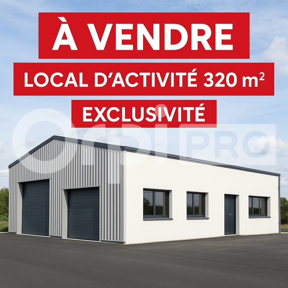 ORPI TYROSSE IMMOBILIER PRO-PCI VENTE-LOCAL D'ACTIVITE-SAINT_GEOURS_DE_MAREMNE-40