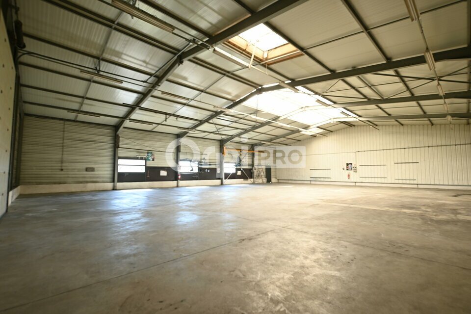 ORPI MYRIAD CONSEIL LOCATION-LOCAL D'ACTIVITE-REYRIEUX-01