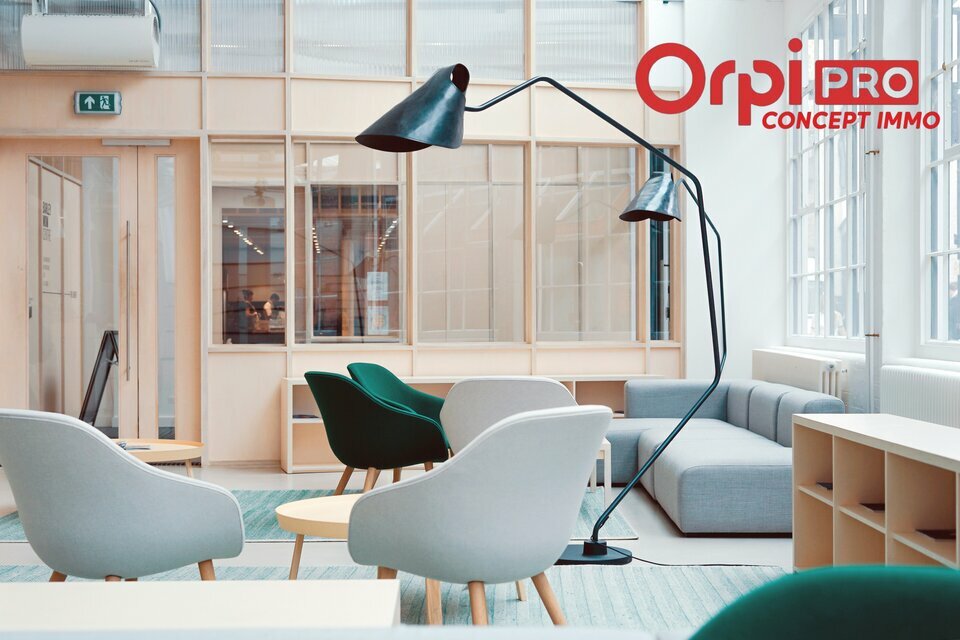 ORPI TYROSSE IMMOBILIER PRO-PCI LOCATION-BUREAUX-BENESSE_MAREMNE-40
