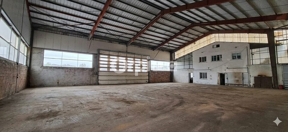 ORPI IMMOBILIERE DU LUY VENTE-LOCAL D'ACTIVITE-PAU-64