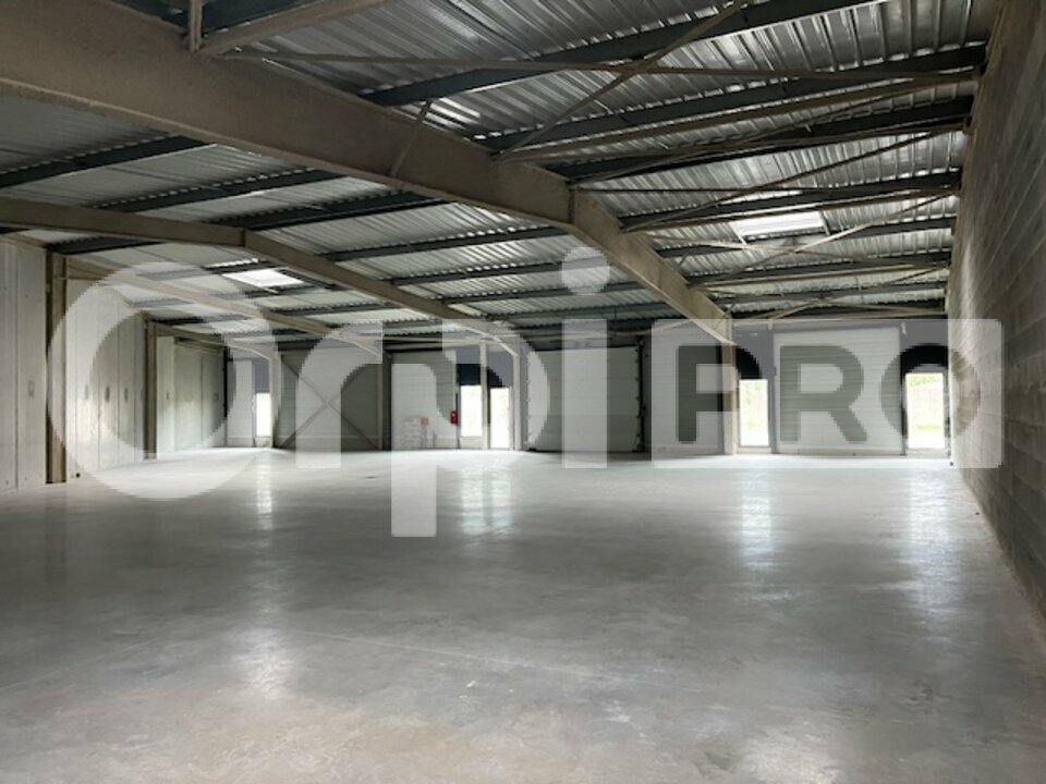 ORPI IMMTIM CABINET CHANDEAU LOCATION-ENTREPOT-LA_ROCHELLE-17