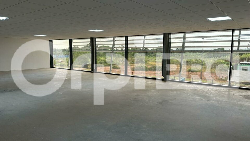 ORPI GCI LOCATION-BUREAUX-CAYENNE-97