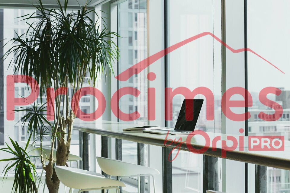 ORPI PROCIMES LOCATION-BUREAUX-LE_CHEYLAS-38