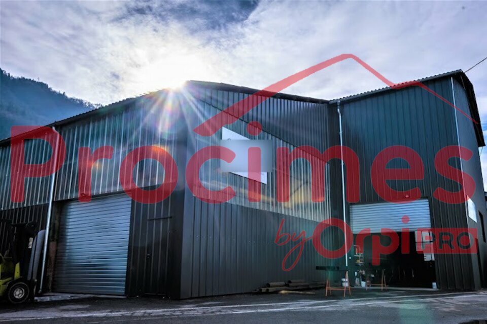 ORPI PROCIMES LOCATION-LOCAL D'ACTIVITE-SAINT_VINCENT_DE_MERCUZE-38