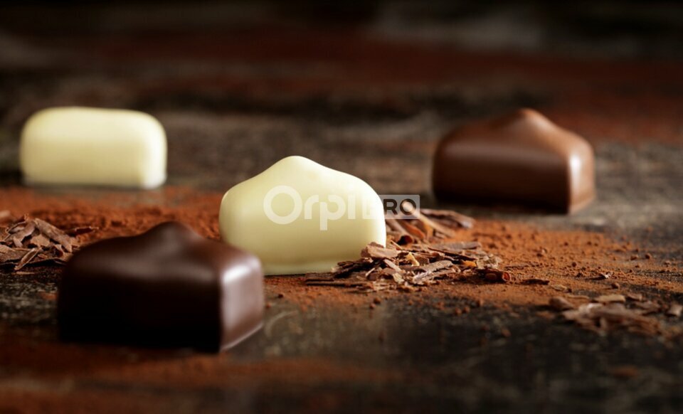 ORPI SARL AGENCE DE BRETAGNE VENTE-FONDS DE COMMERCE-PLUNERET-56