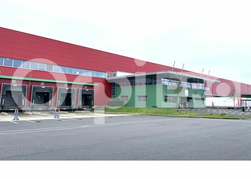 ORPI IMMO ENTRE PRO LOCATION-ENTREPOT-LE_COUDRAY-MONTCEAUX-91