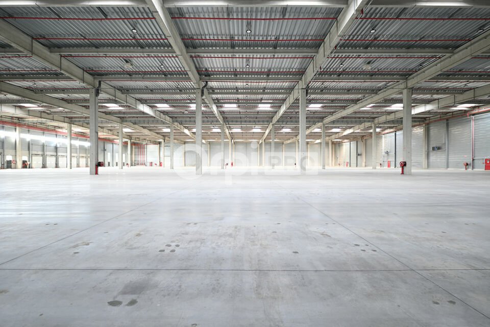 ORPI MYRIAD CONSEIL LOCATION-ENTREPOT-SEVREY-71