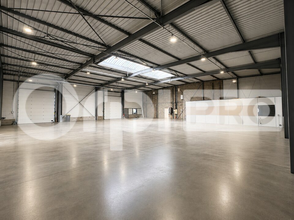 ORPI SAS DIRECT HABITAT LOCATION-LOCAL D'ACTIVITE-ARNAS-69