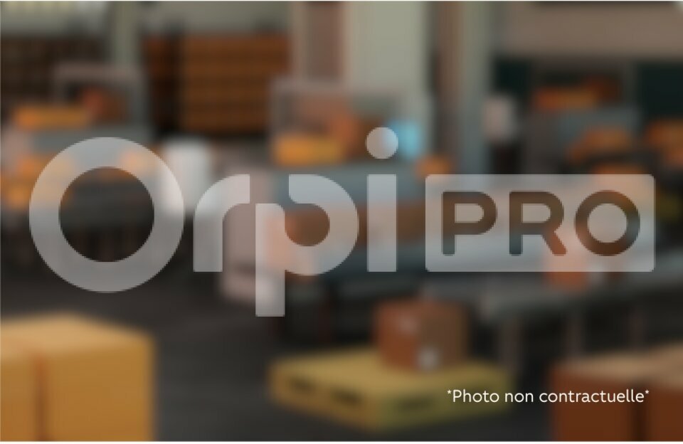 ORPI TYROSSE IMMOBILIER PRO-PCI LOCATION-ENTREPOT-SOORTS-HOSSEGOR-40