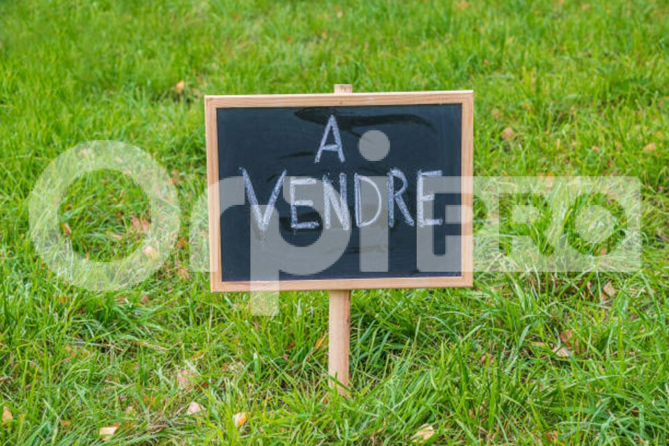 ORPI VIP BUSINESS VENTE-TERRAIN-FRONTENAUD-71