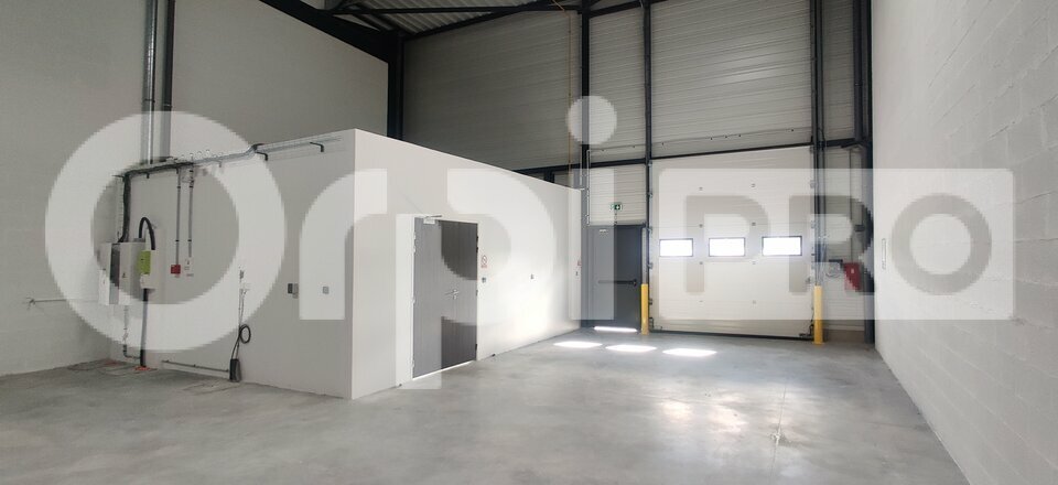 ORPI IMMO ENTRE PRO LOCATION-LOCAL D'ACTIVITE-SAVIGNY_LE_TEMPLE-77