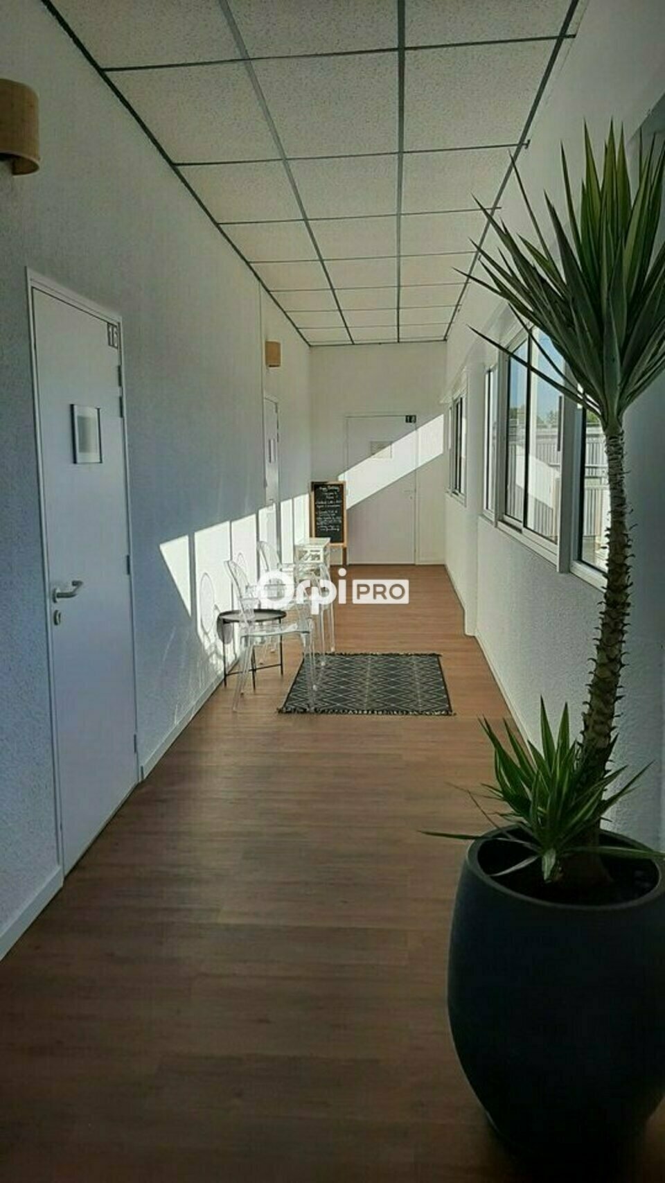 ORPI IMMOBILIERE DU LUY LOCATION-BUREAUX-SERRES_CASTET-64