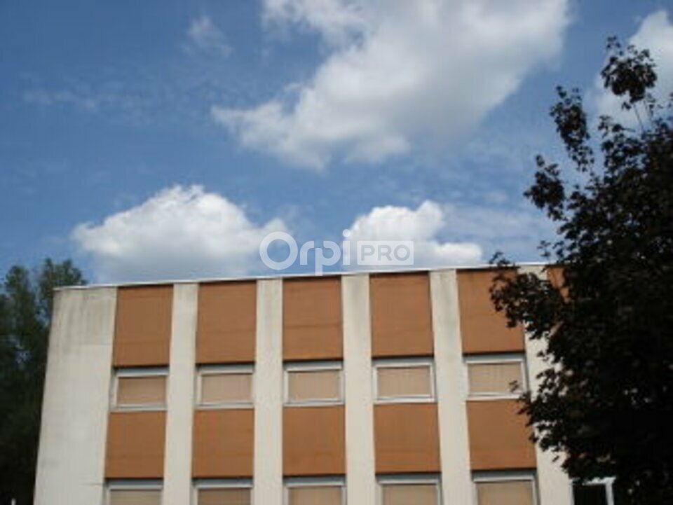ORPI IMMOBILIER DU REMPART VENTE-ENTREPOT-VIERZON-18