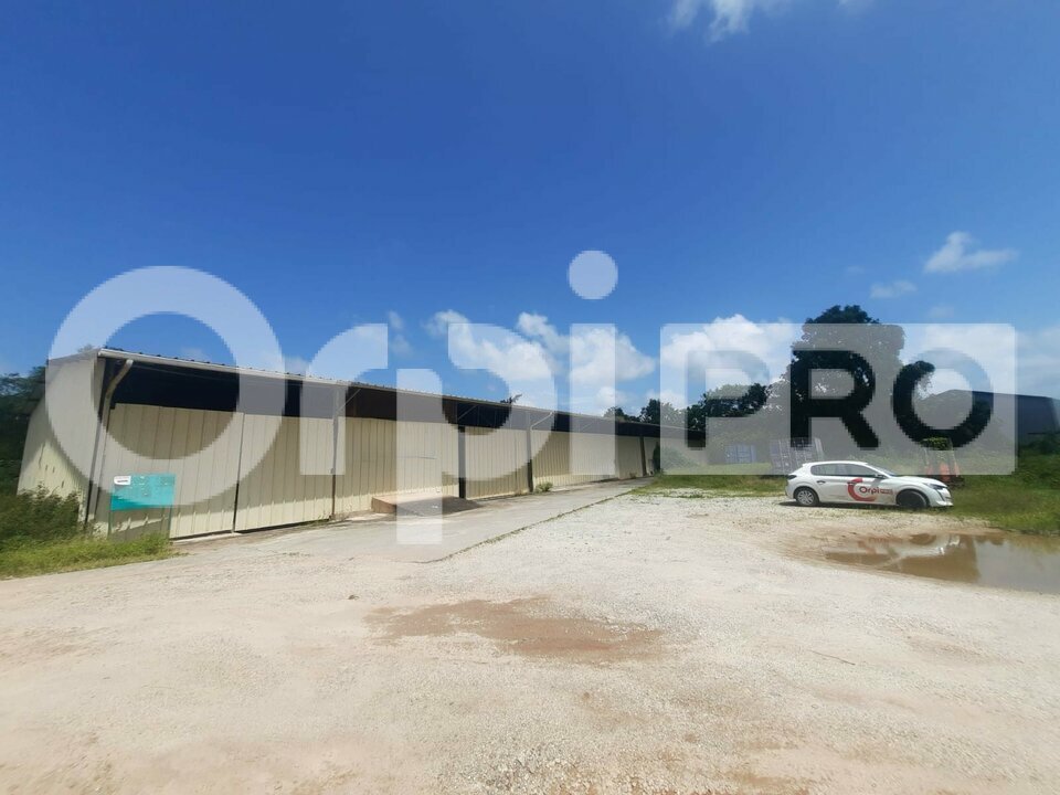 ORPI GCI VENTE-ENTREPOT-MACOURIA-97