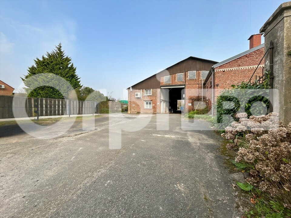 ORPI PLI ARRAS VENTE-LOCAL D'ACTIVITE-ARRAS-62