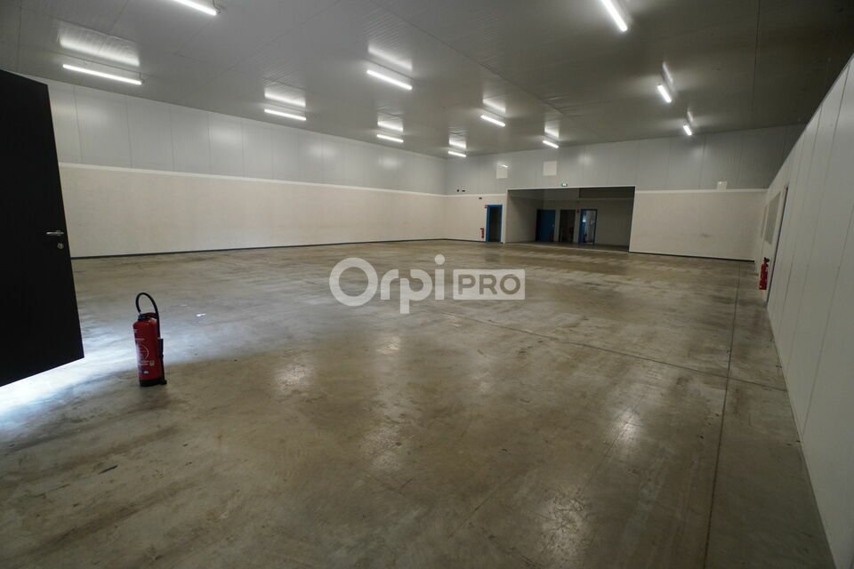 DORIS METZGER IMMOBILIER LOCATION-LOCAL D'ACTIVITE-CHEVIGNY_SAINT_SAUVEUR-21