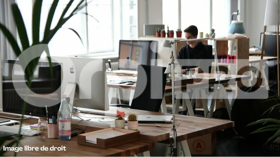 ORPI LSI VAL D'OZON VENTE-BUREAUX-LYON-69