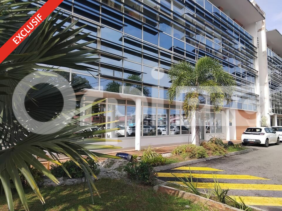 ORPI GCI VENTE-BUREAUX-CAYENNE-97