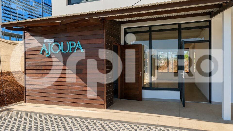 ORPI GCI VENTE-BUREAUX-CAYENNE-97