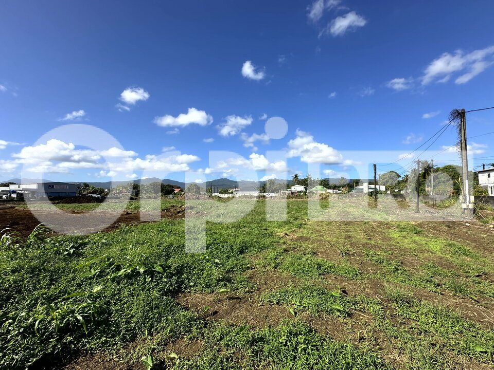 ORPI AGIM IMMOBILIER VENTE-TERRAIN-SAINTE-ROSE-97