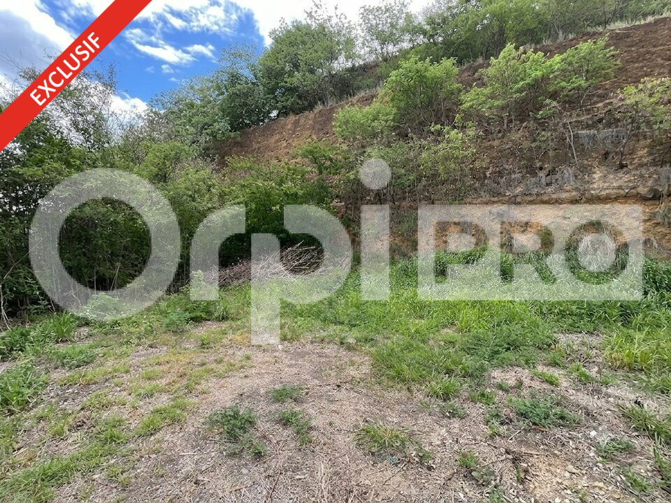 ORPI AGENCE BOUTAREL VENTE-TERRAIN-BASSE-TERRE-97