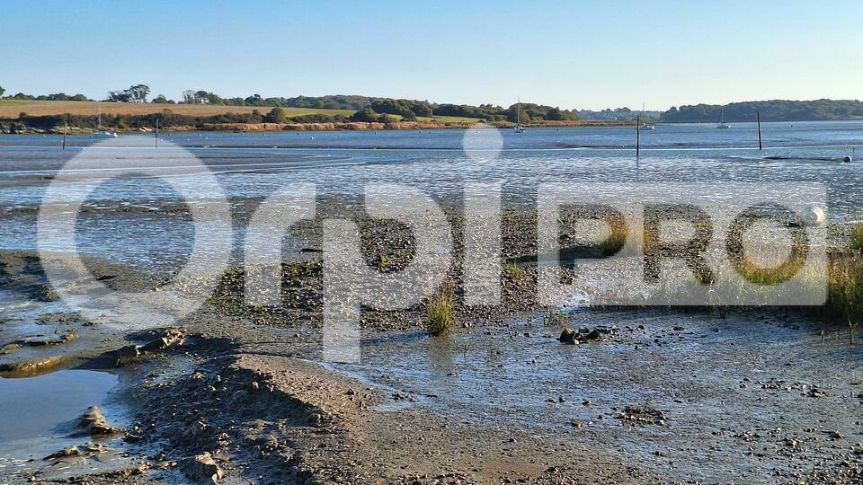 ORPI PRESQUILE FONCIER IMMOBILIER  VENTE-TERRAIN-PENESTIN-56