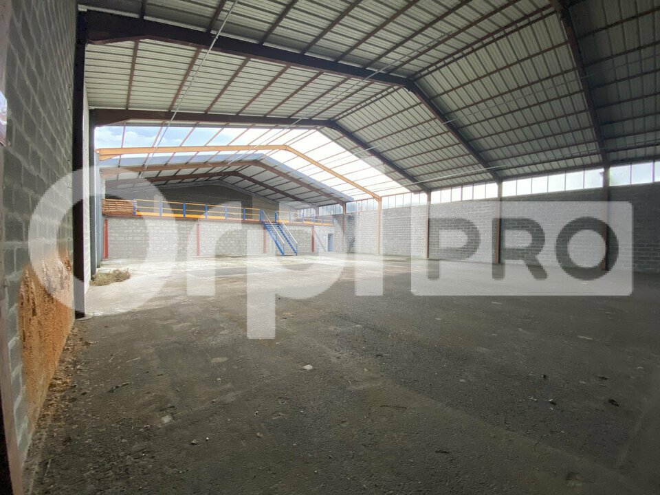 ORPI SAS DIRECT HABITAT LOCATION-LOCAL D'ACTIVITE-CIVRIEUX-D'AZERGUES-69