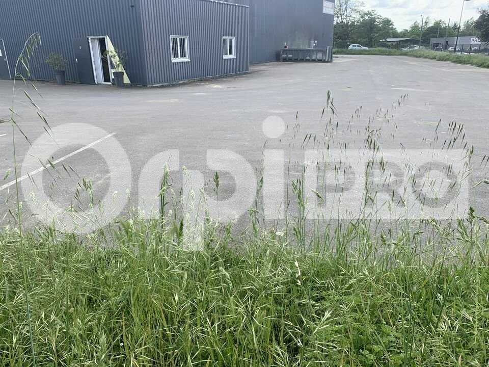 ORPI IMMO33 ENTREPRISE LOCATION-LOCAL D'ACTIVITE-AMBARES_ET_LAGRAVE-33