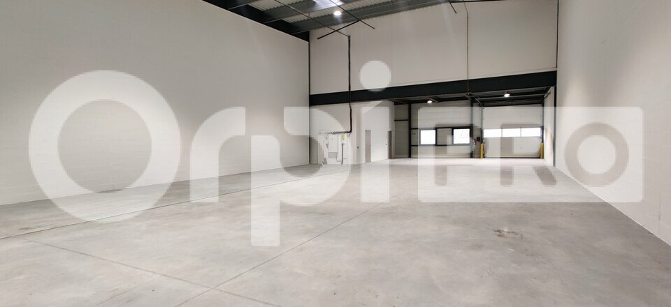 ORPI IMMO ENTRE PRO LOCATION-LOCAL D'ACTIVITE-CORBEIL_ESSONNES-91