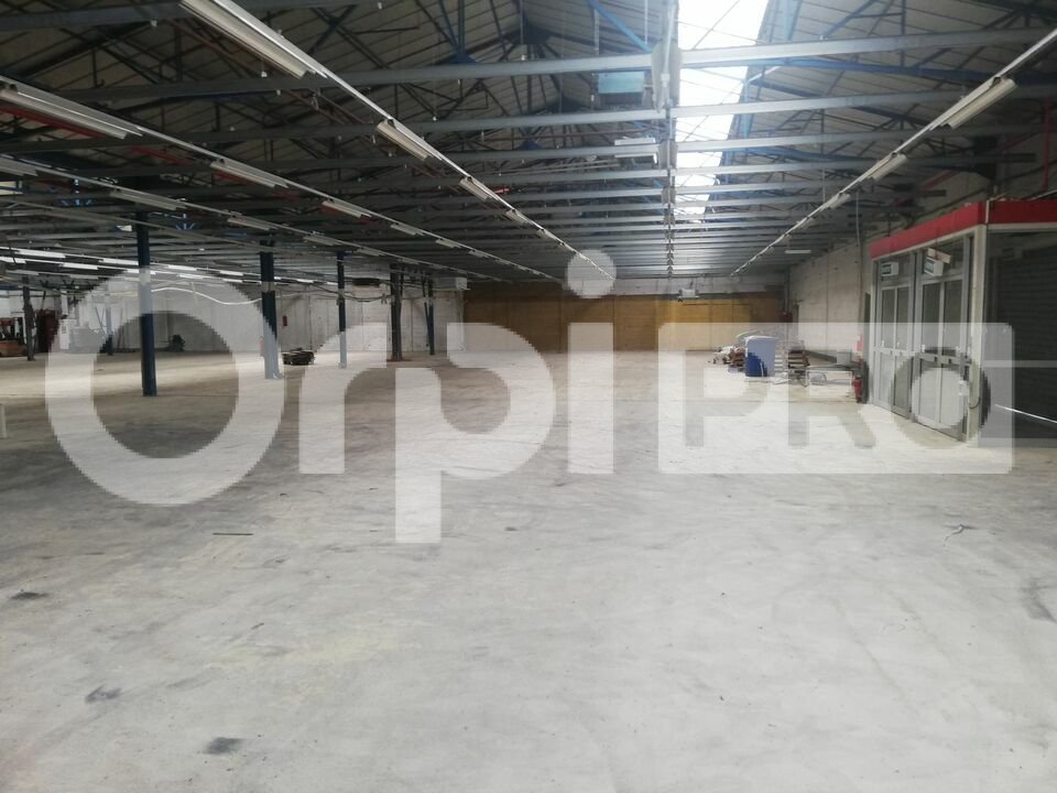ORPI AGENCE CONSEIL  LOCATION-ENTREPOT-LIMOGES-87